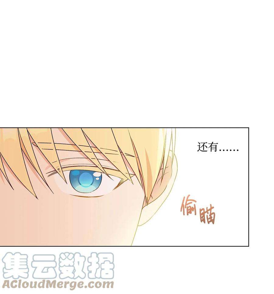 伊莲娜·埃沃的观察日志24 眼镜布的威胁