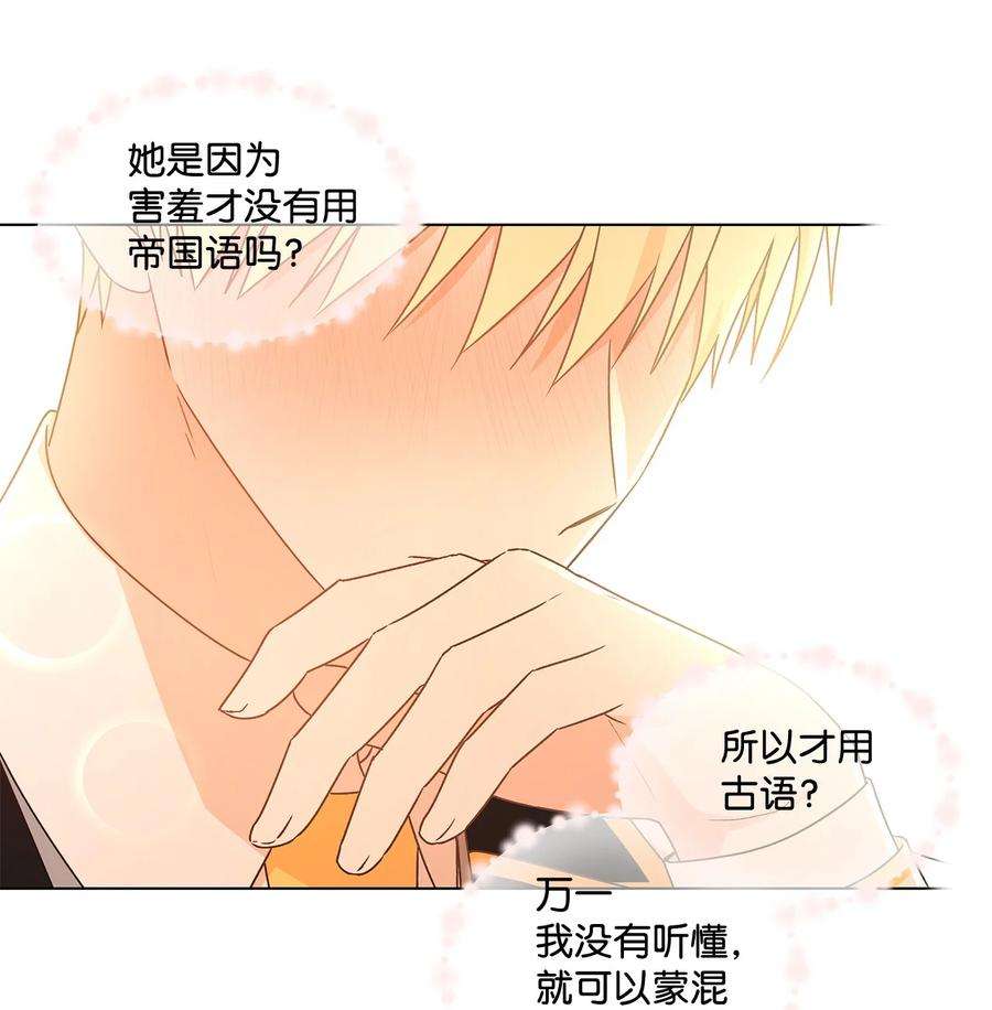 伊莲娜·埃沃的观察日志24 眼镜布的威胁
