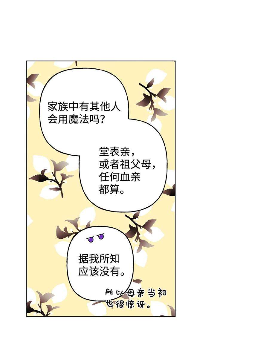 伊莲娜·埃沃的观察日志25 魔法师之梦