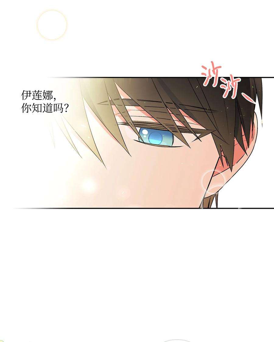 伊莲娜·埃沃的观察日志34 学校庆典
