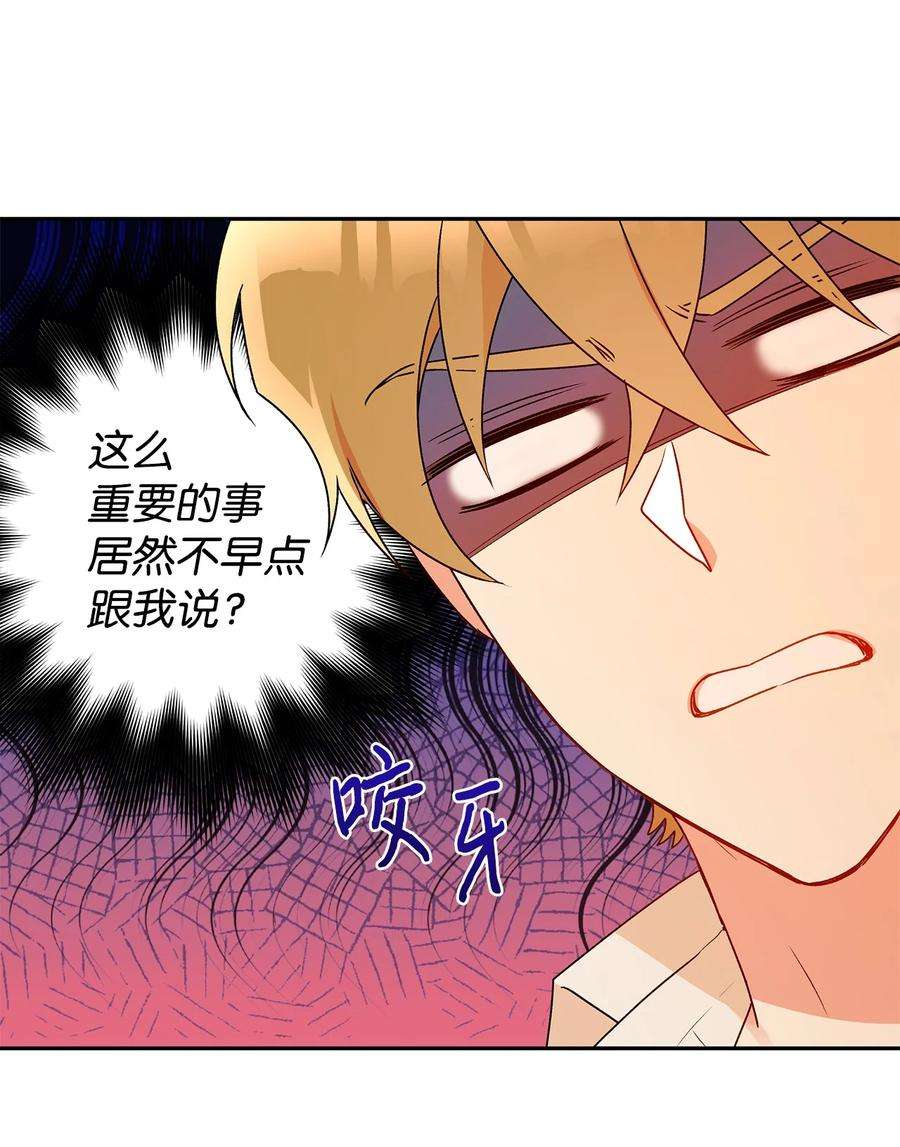 伊莲娜·埃沃的观察日志52 舞会邀请
