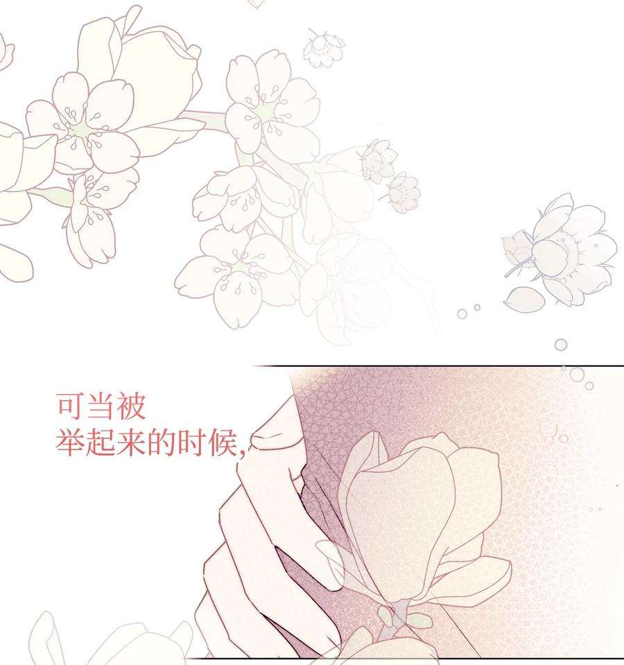 伊莲娜·埃沃的观察日志57 拒绝