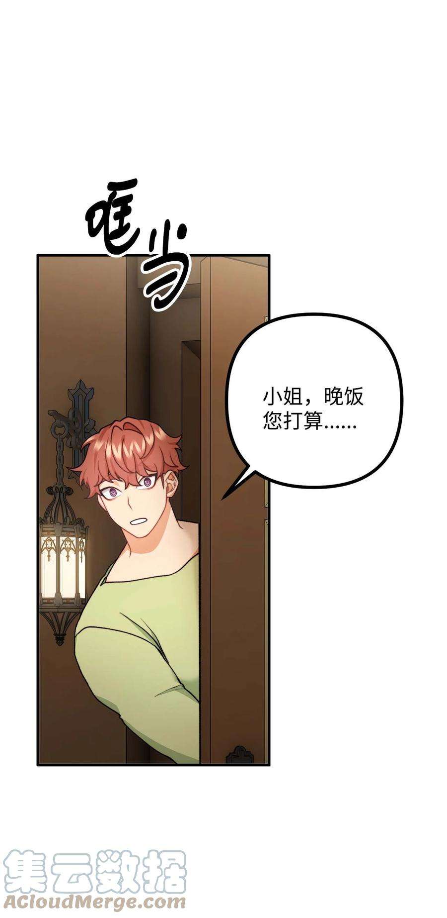 看见鬼怪的公爵夫人42 祭司们到来