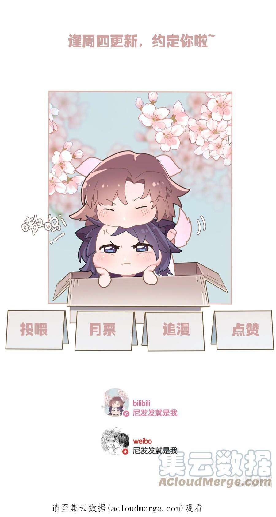 中年恋爱补丁25话 好养活