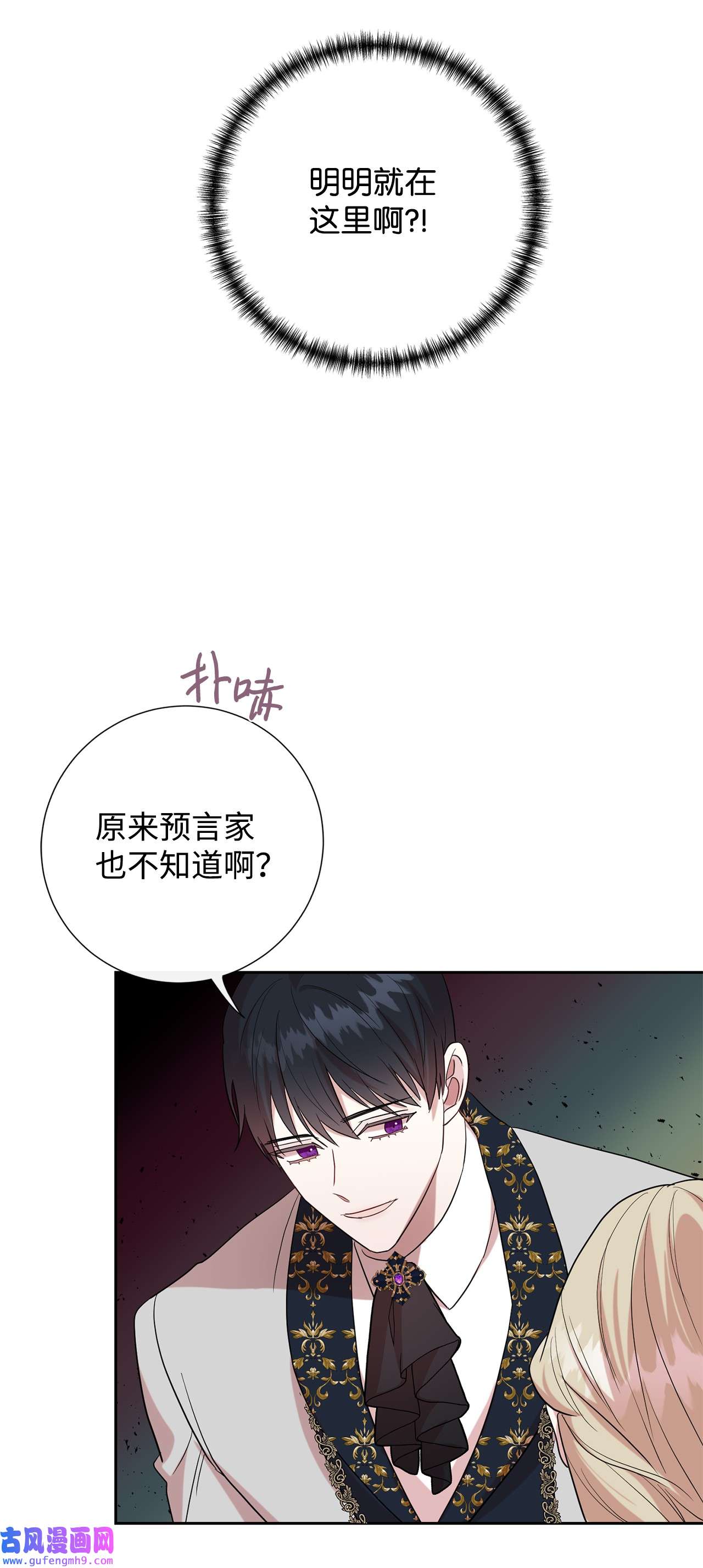 请不要吃掉我062 风之魔法师