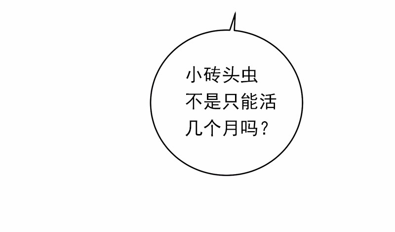 女神、异世界和变成砖头虫的我21 第21话
