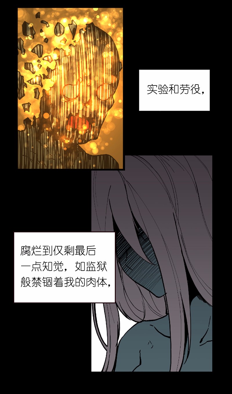 女神、异世界和变成砖头虫的我41 第41话