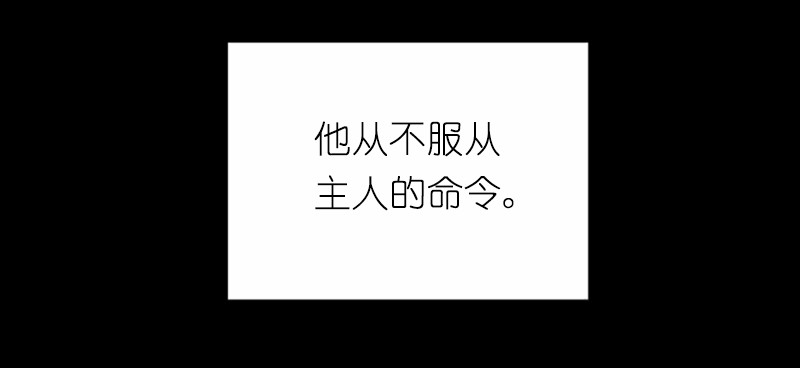 女神、异世界和变成砖头虫的我41 第41话