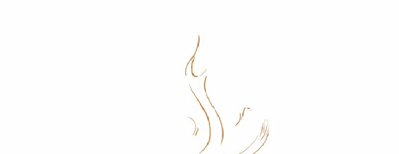 女神、异世界和变成砖头虫的我51 第51话