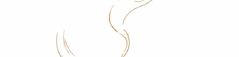 女神、异世界和变成砖头虫的我51 第51话