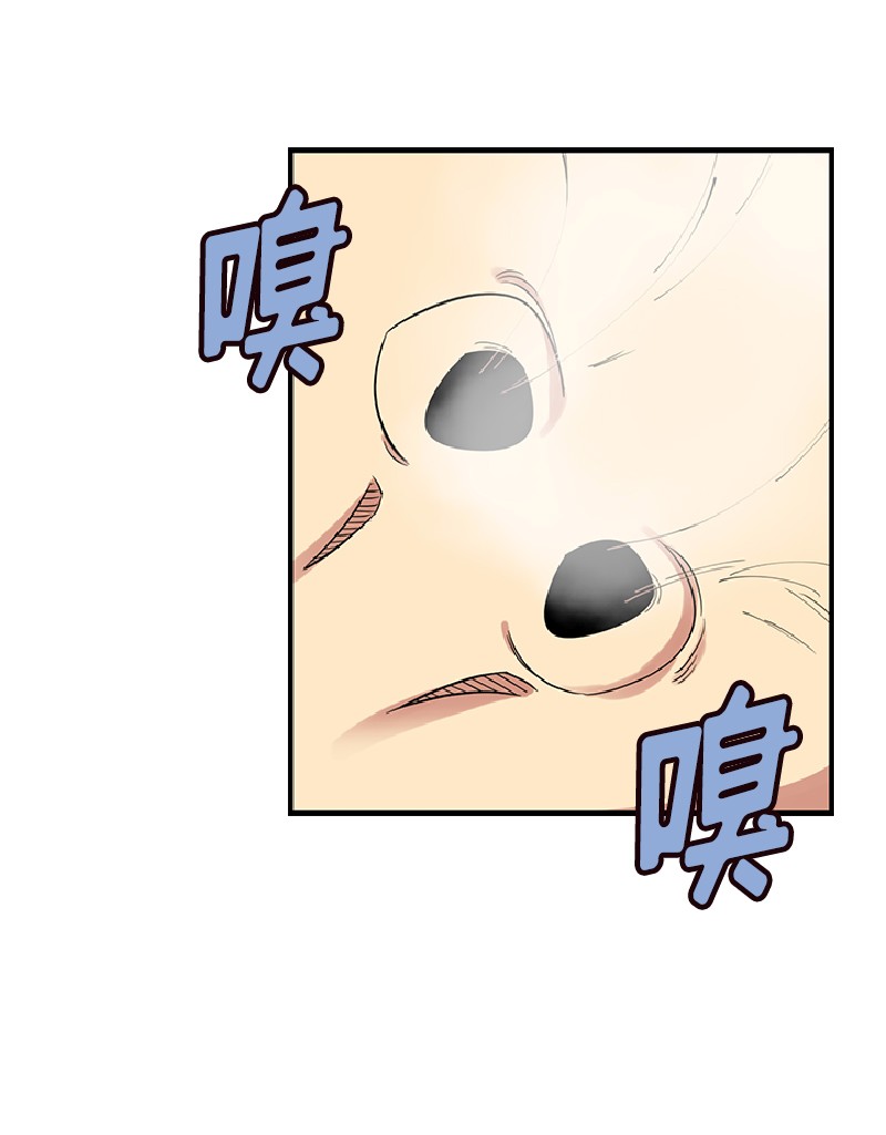 女神、异世界和变成砖头虫的我71 第71话