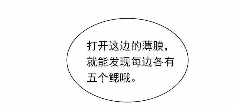女神、异世界和变成砖头虫的我86 第86话