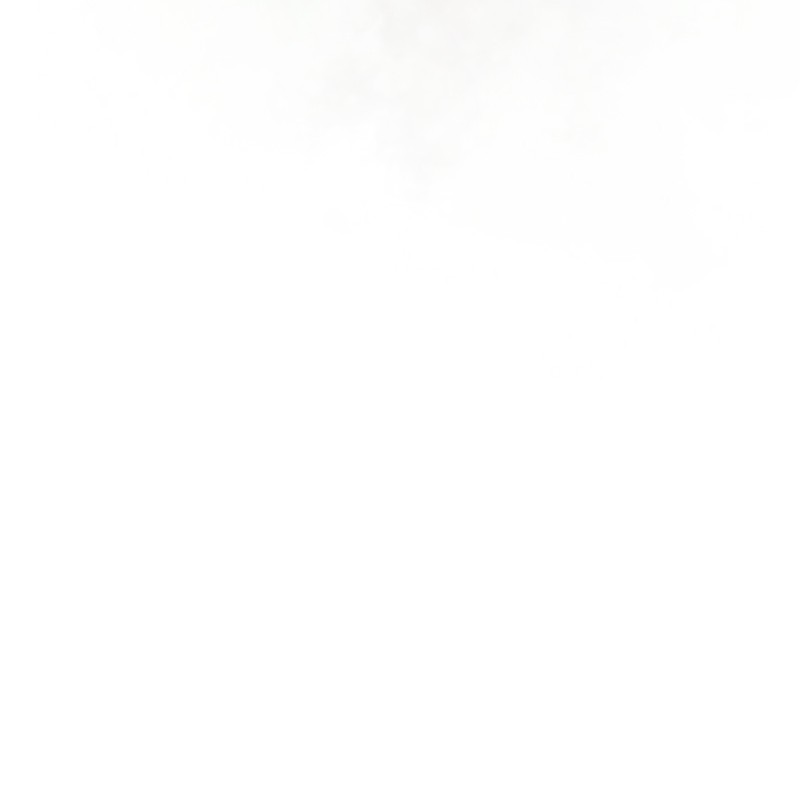 女神、异世界和变成砖头虫的我S2-47 我的主人