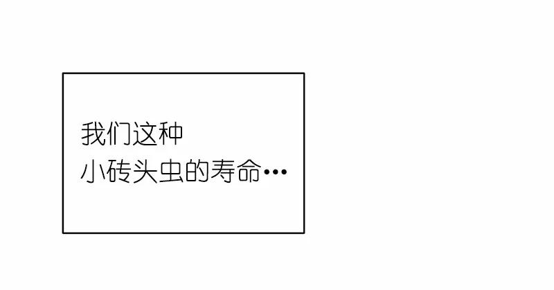 女神、异世界和变成砖头虫的我S1-04 第4话