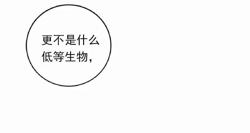 女神、异世界和变成砖头虫的我S1-42 第42话