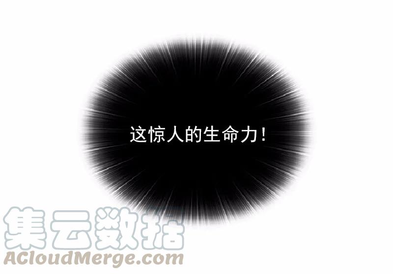 女神、异世界和变成砖头虫的我S1-64 第64话