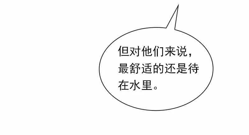 女神、异世界和变成砖头虫的我S1-89 第89话
