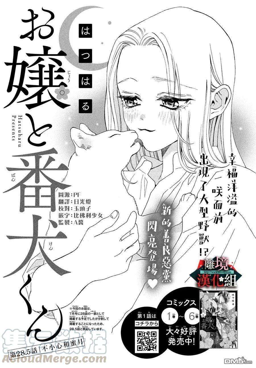 大小姐和看门犬28.5话 不小心和蜜月