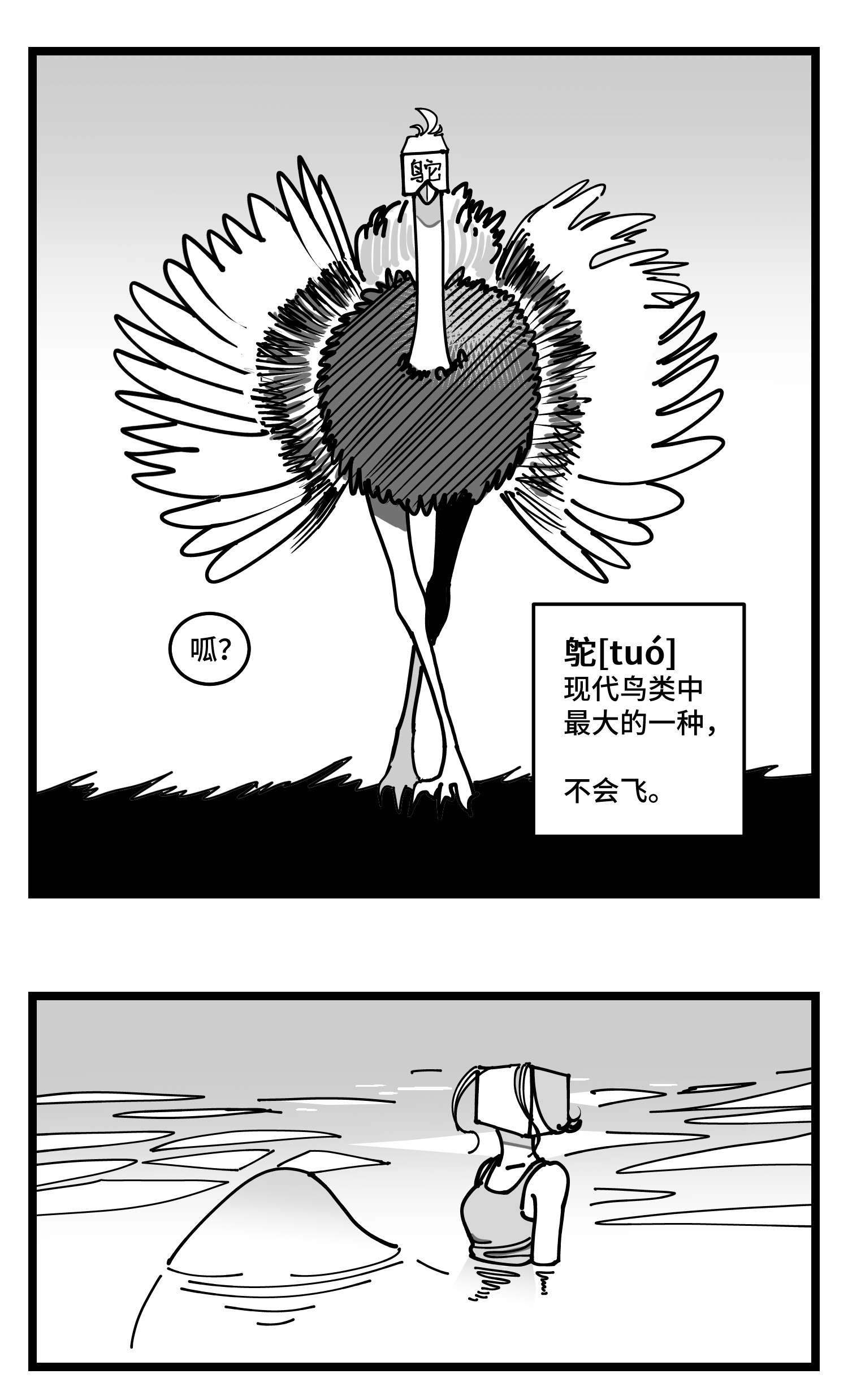中华字库四十六话 它们