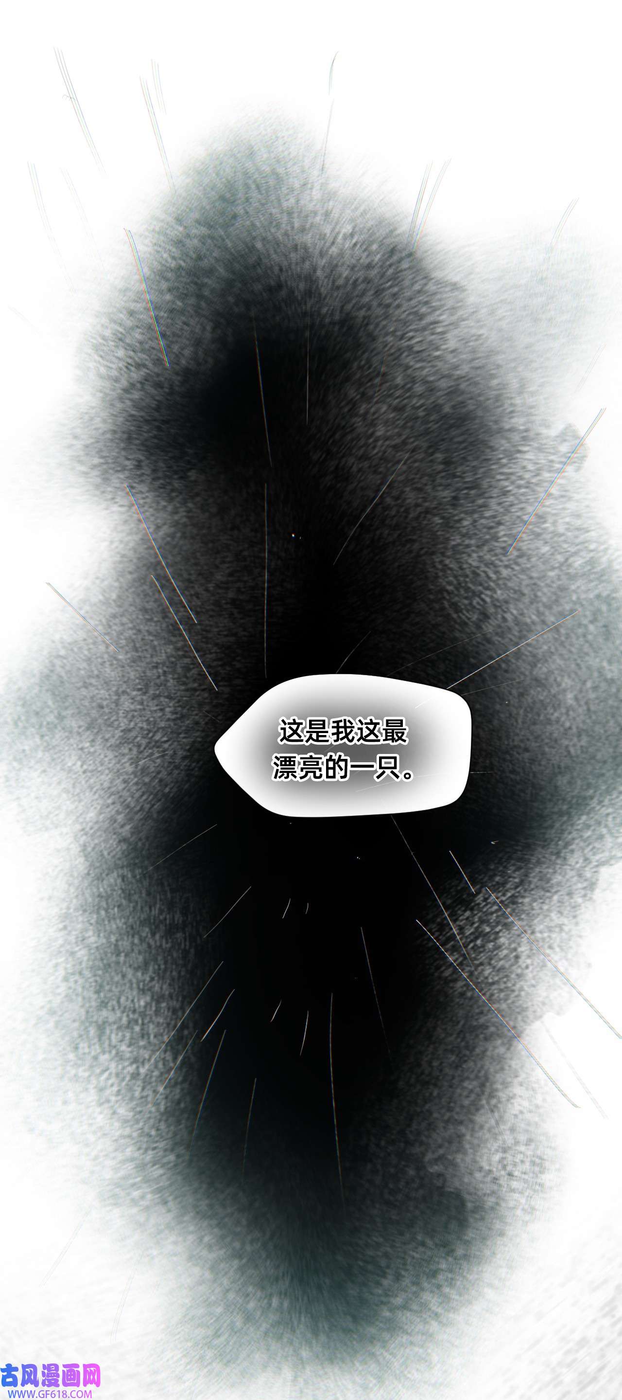 猫猫心上的童话01 爱丽丝