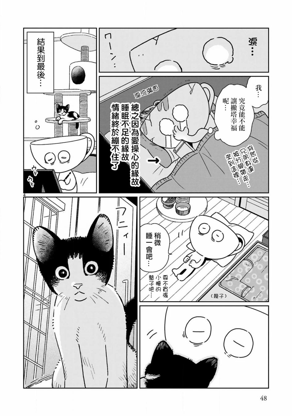 全世猫第05话