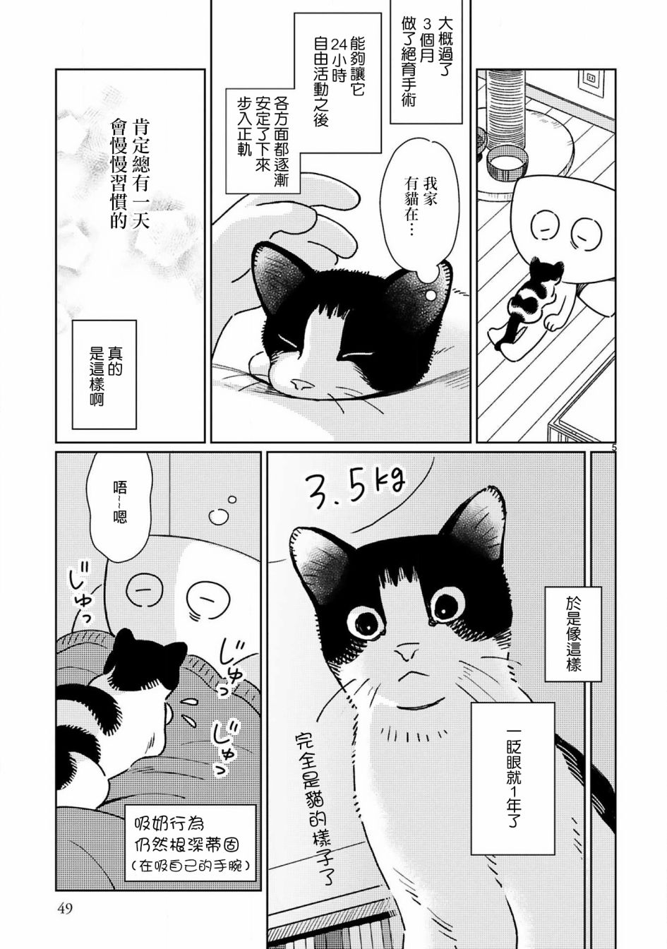 全世猫第05话