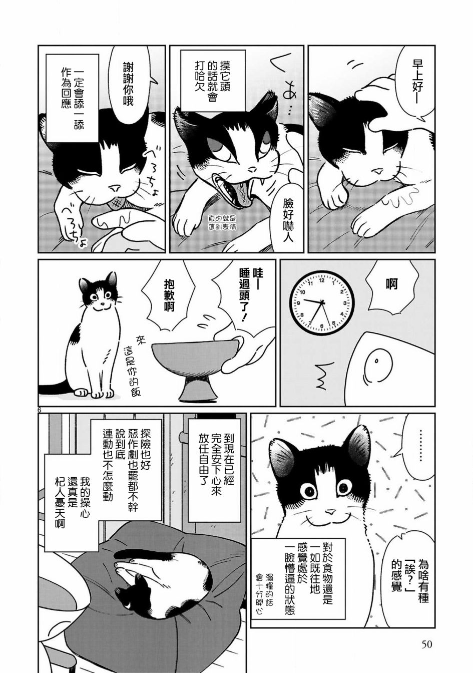 全世猫第05话