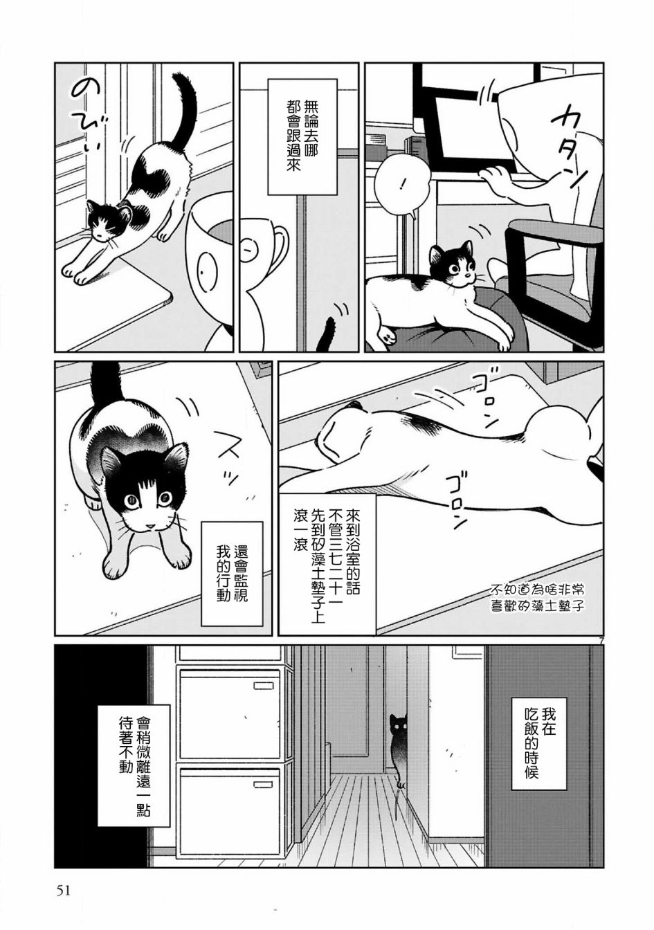 全世猫第05话