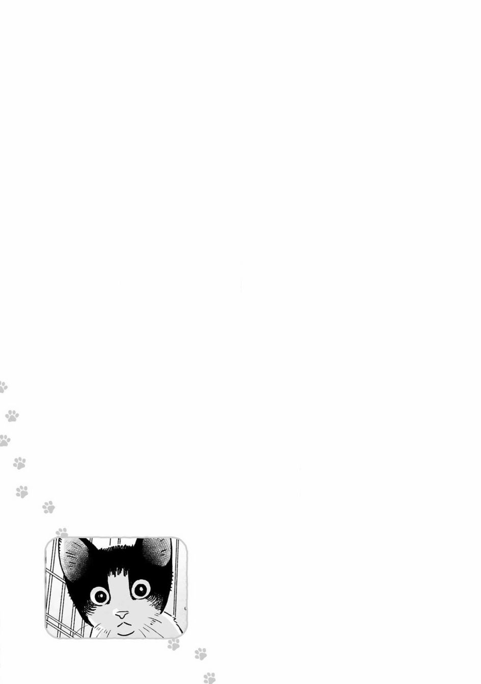 全世猫第05话