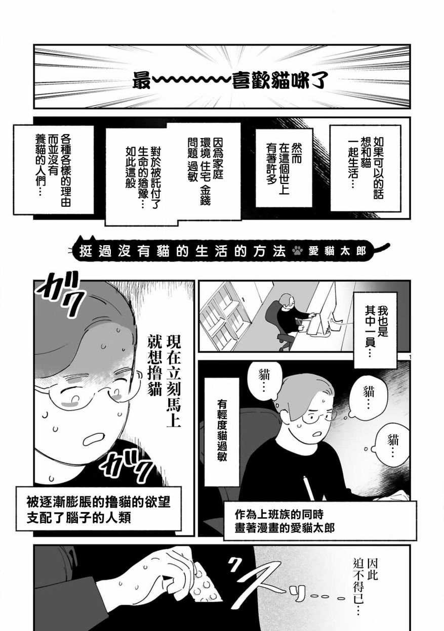 全世猫第07话
