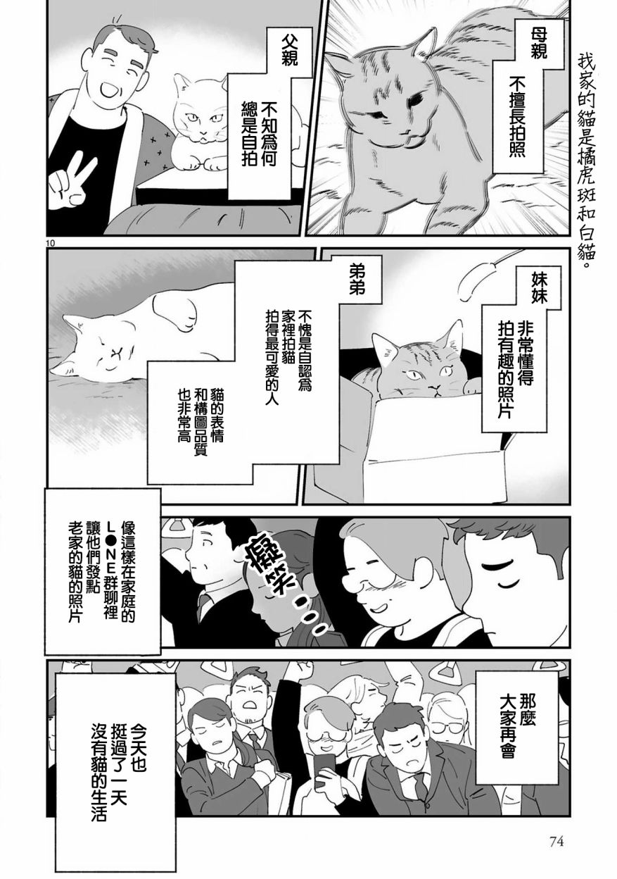 全世猫第07话