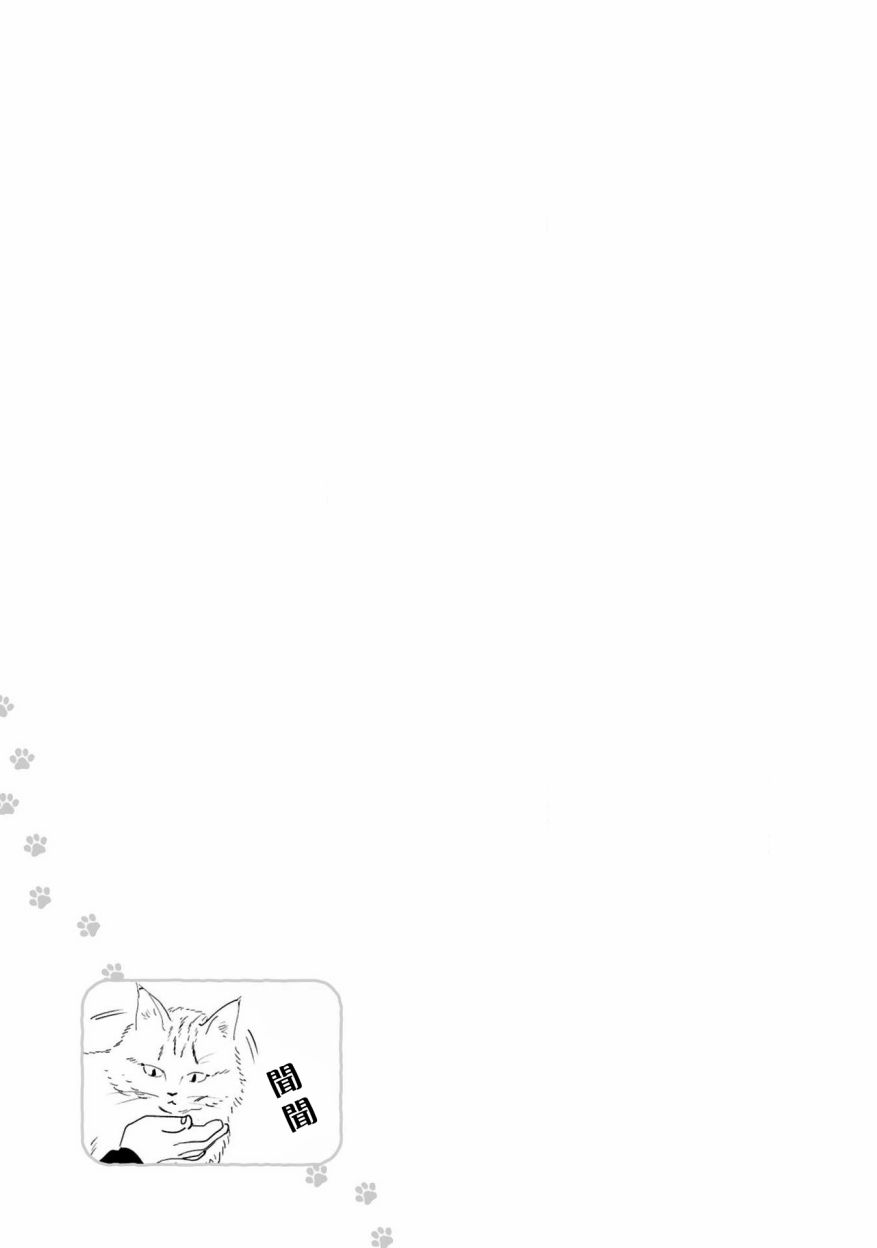 全世猫第07话