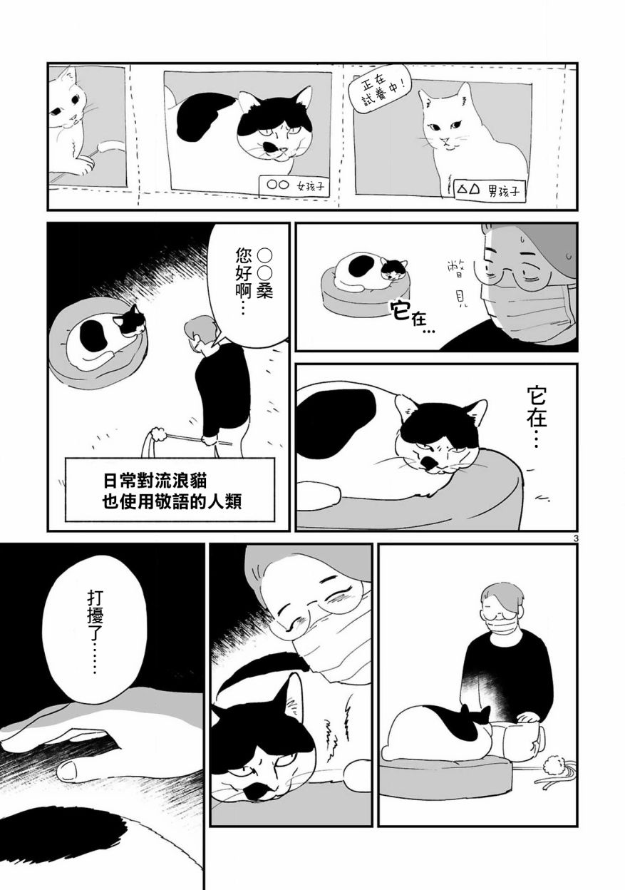 全世猫第07话