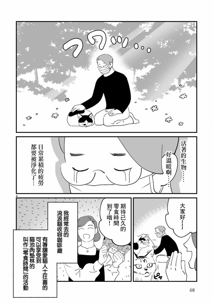 全世猫第07话