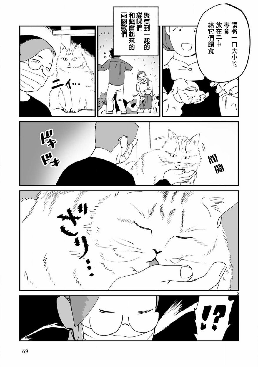 全世猫第07话