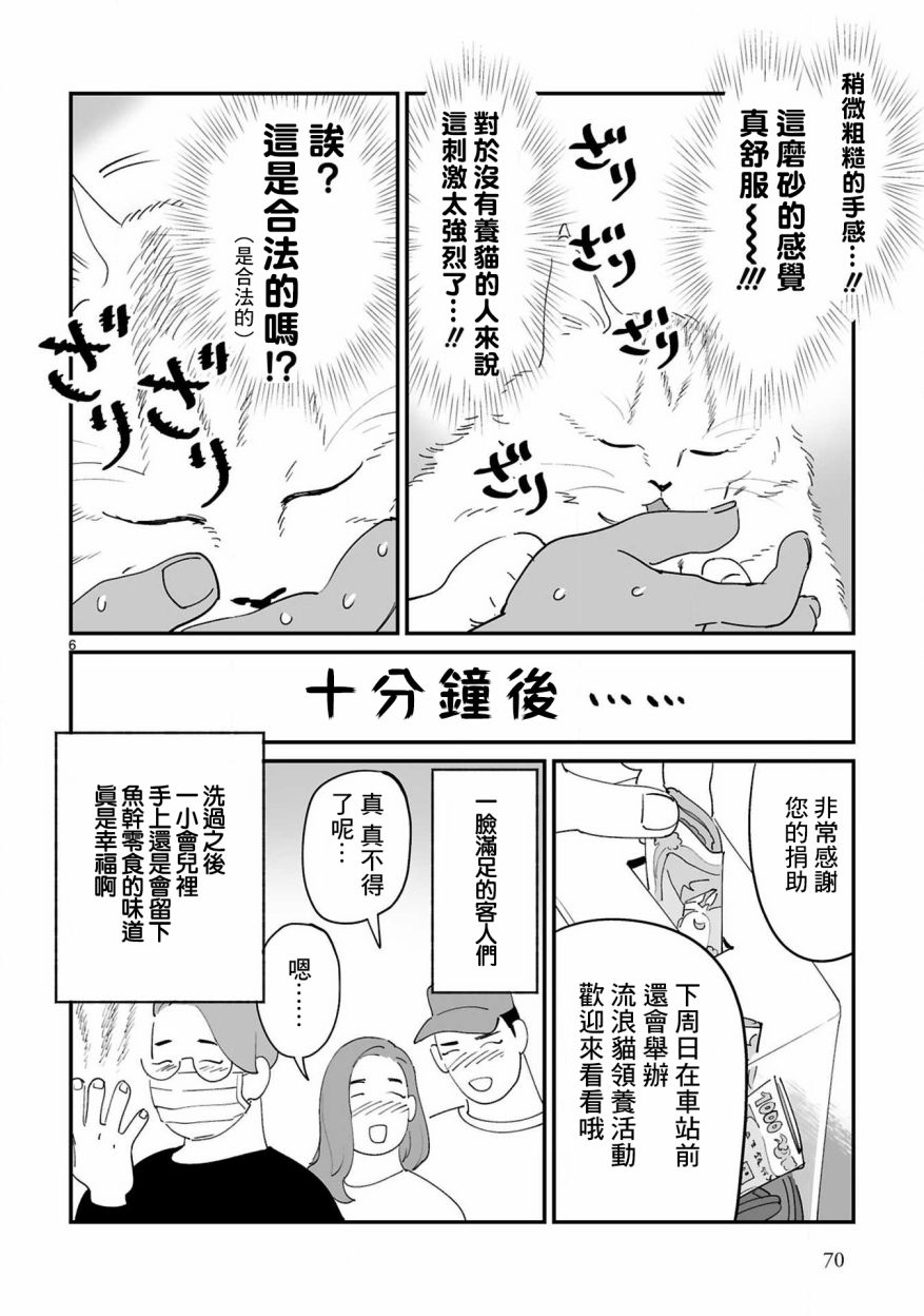 全世猫第07话