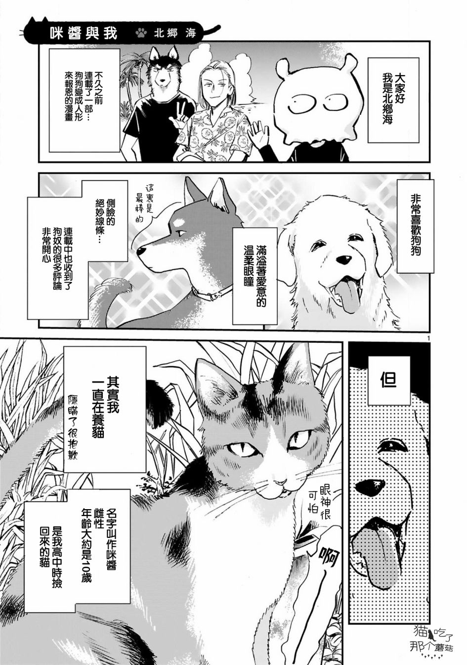 全世猫第08话