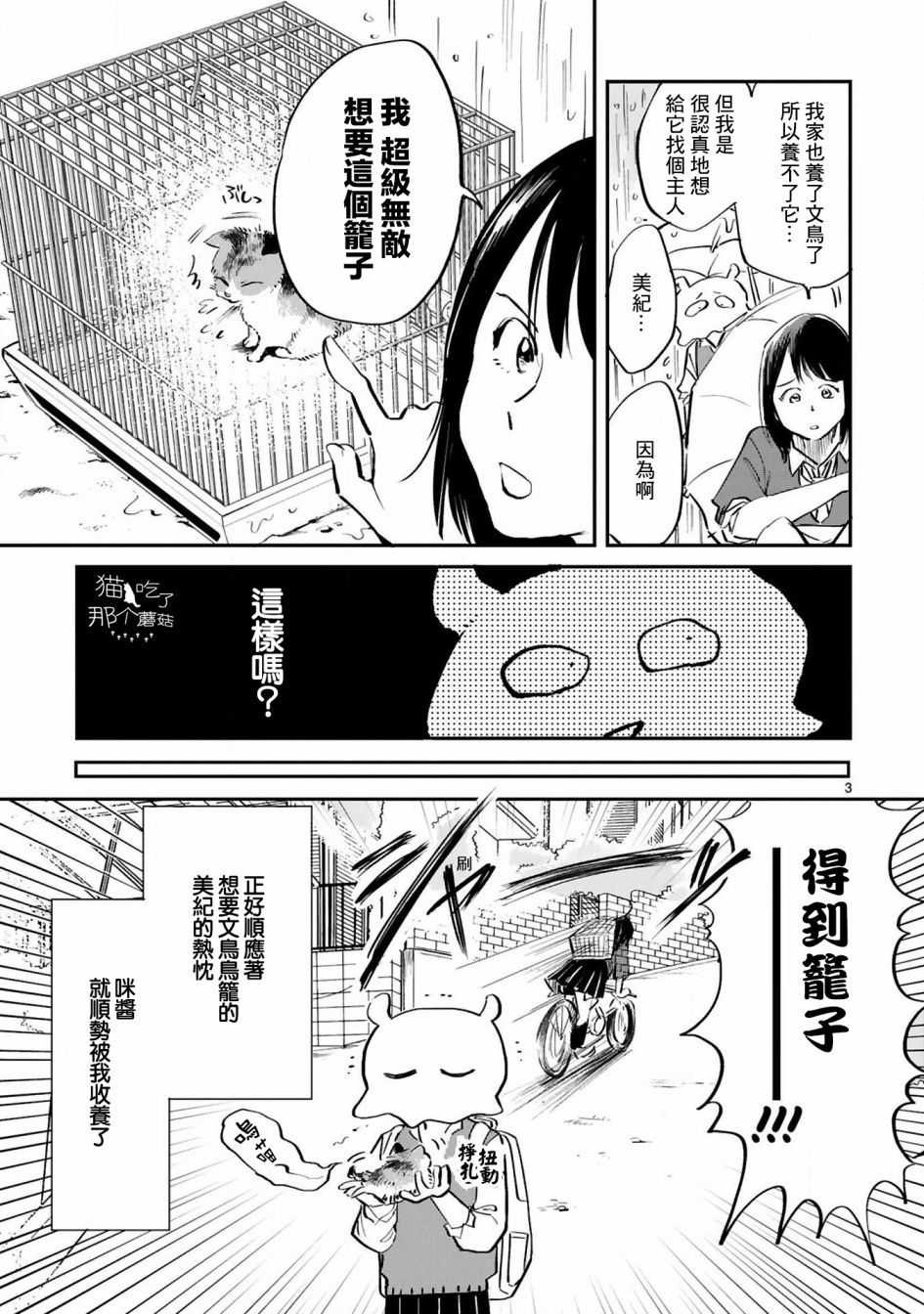 全世猫第08话