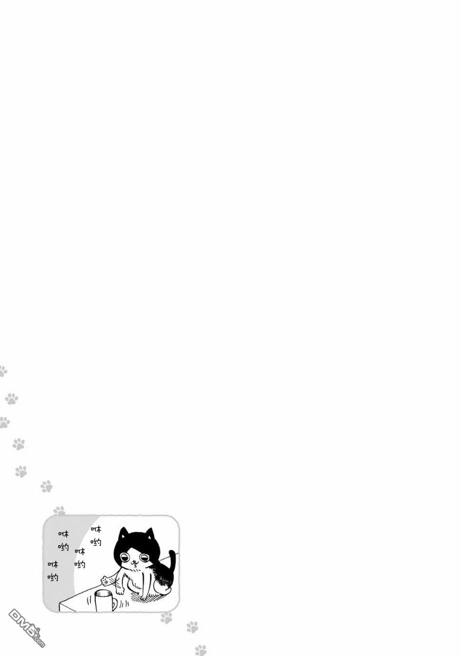 全世猫第1话