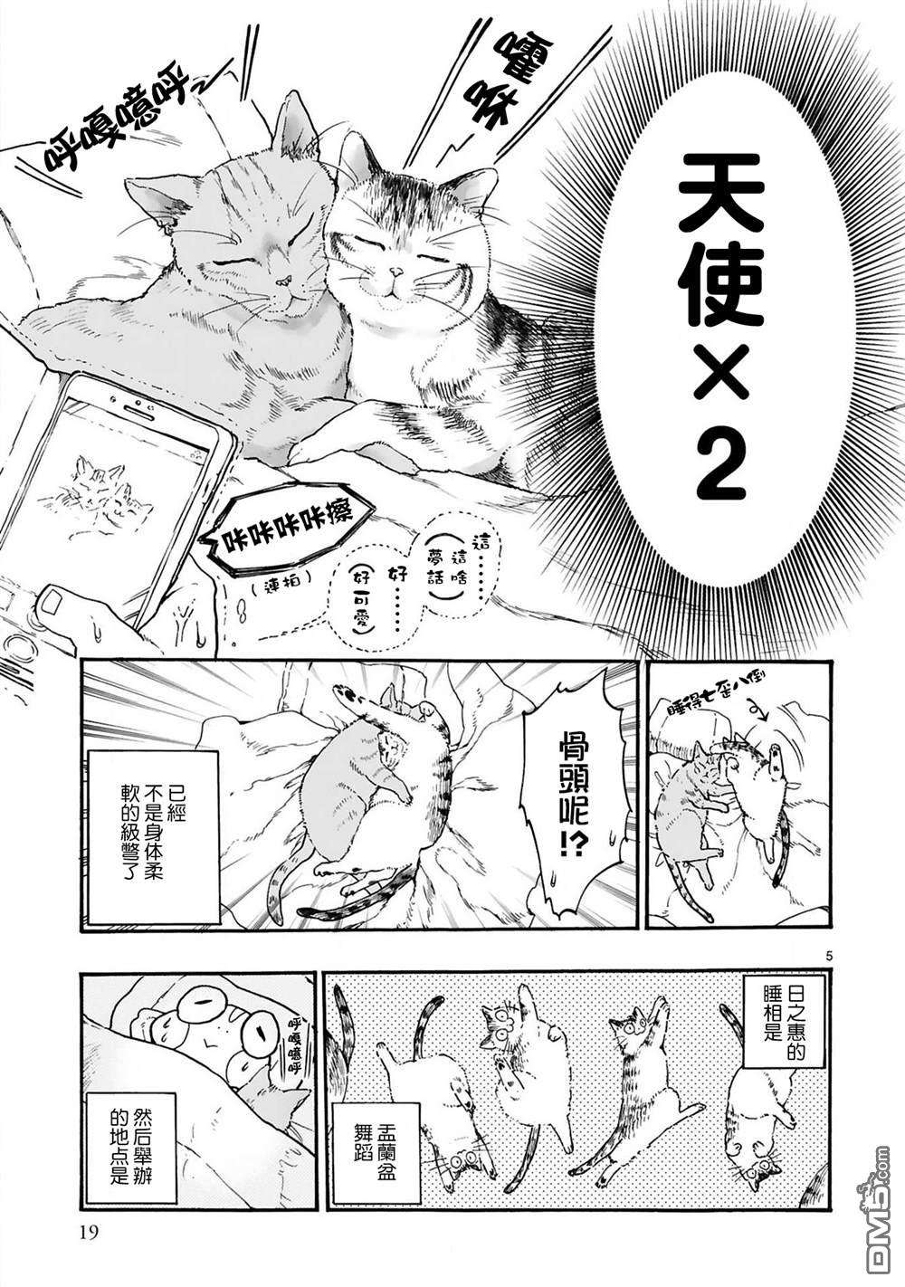 全世猫第2话