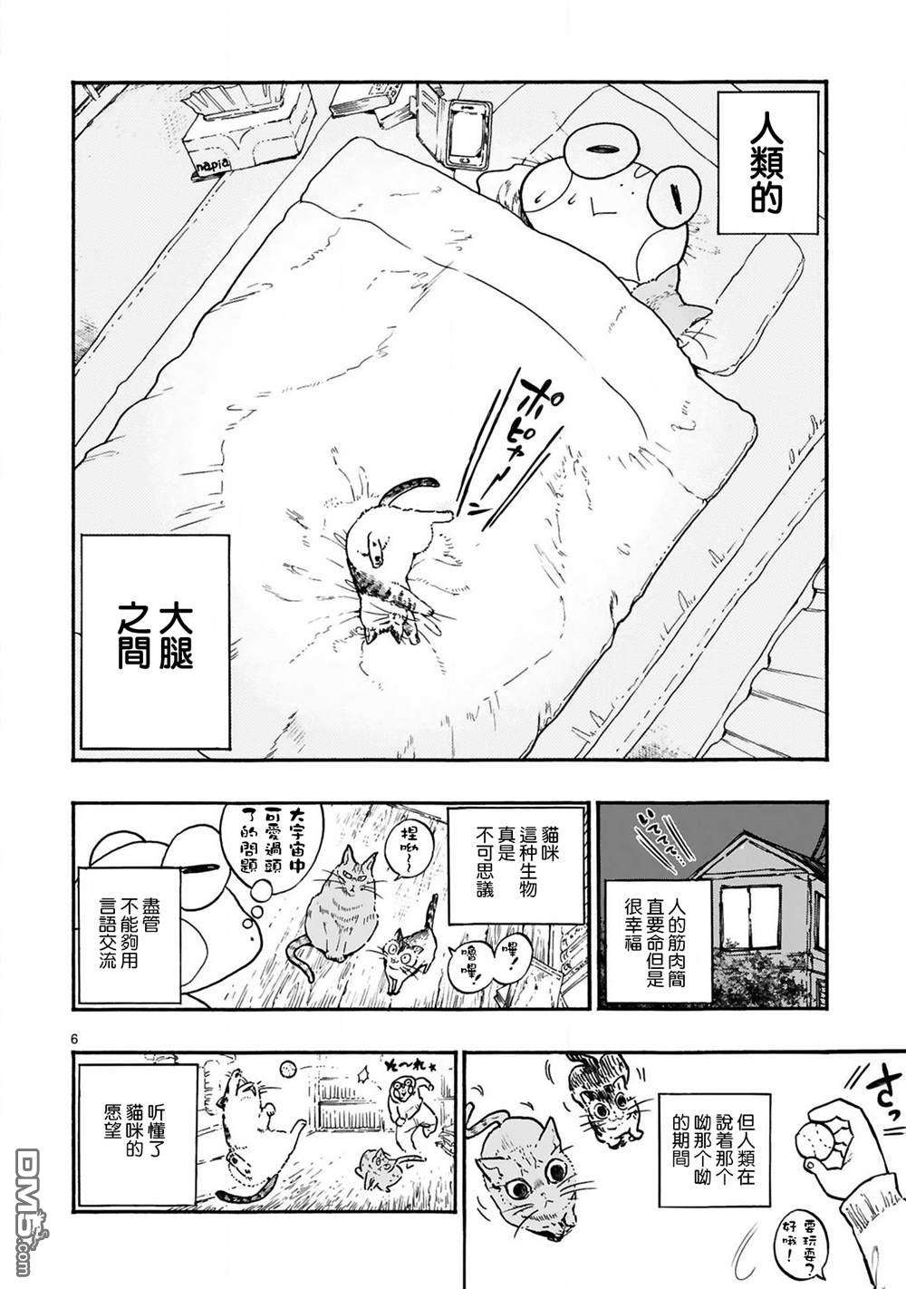 全世猫第2话