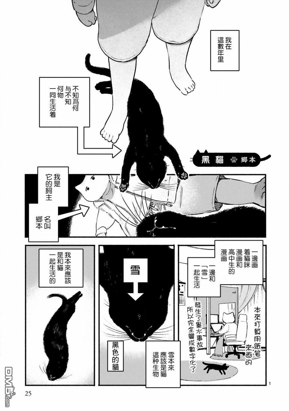 全世猫第3话