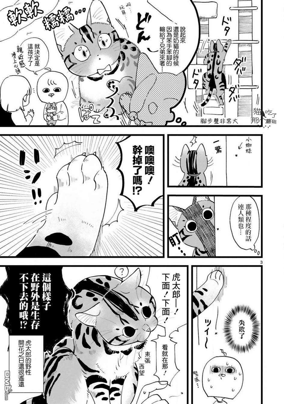 全世猫第4话