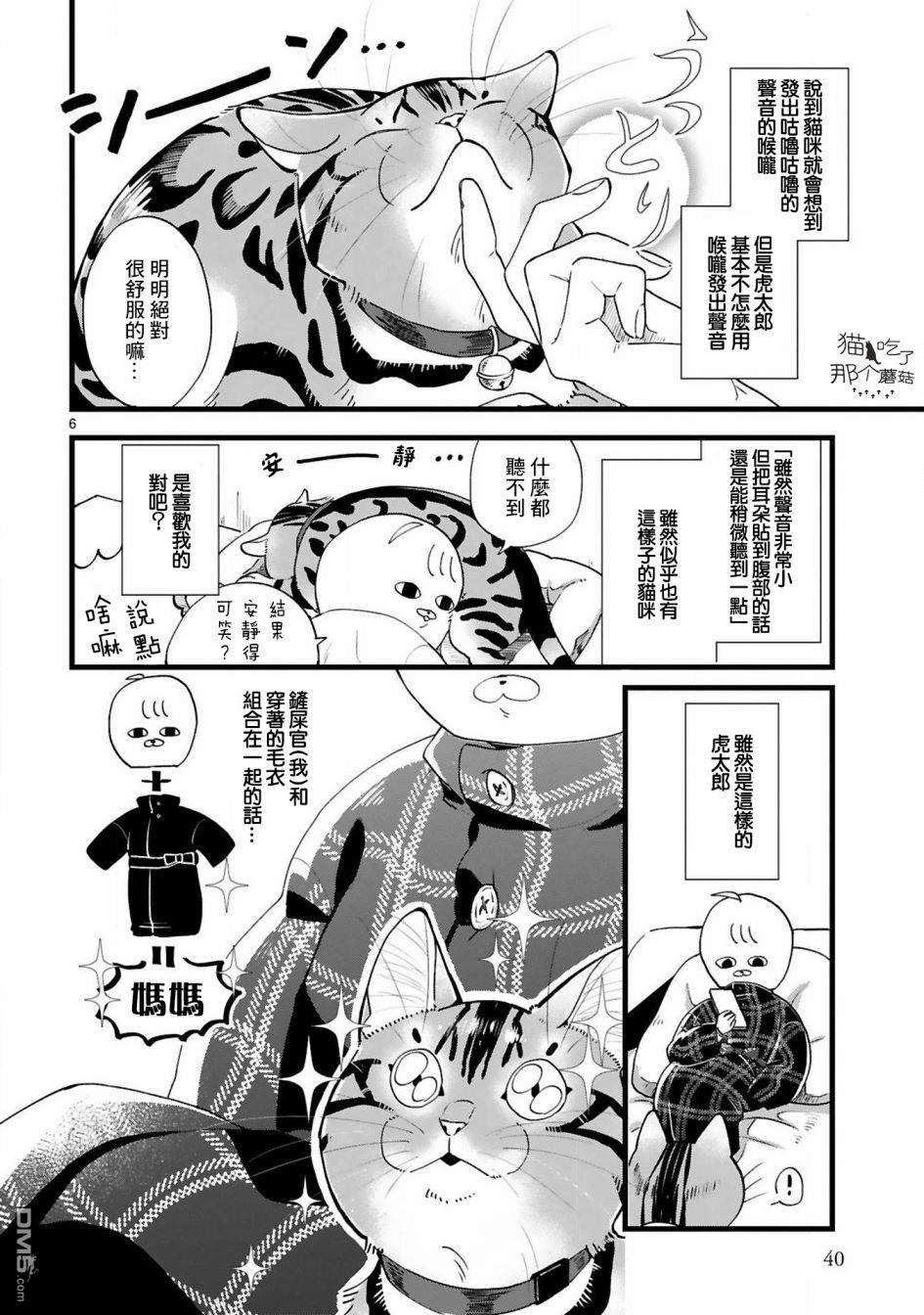 全世猫第4话