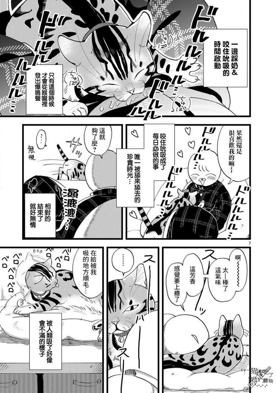 全世猫第4话