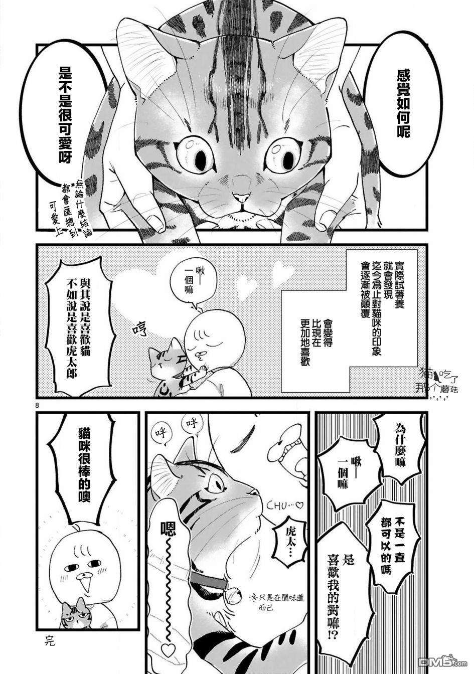 全世猫第4话