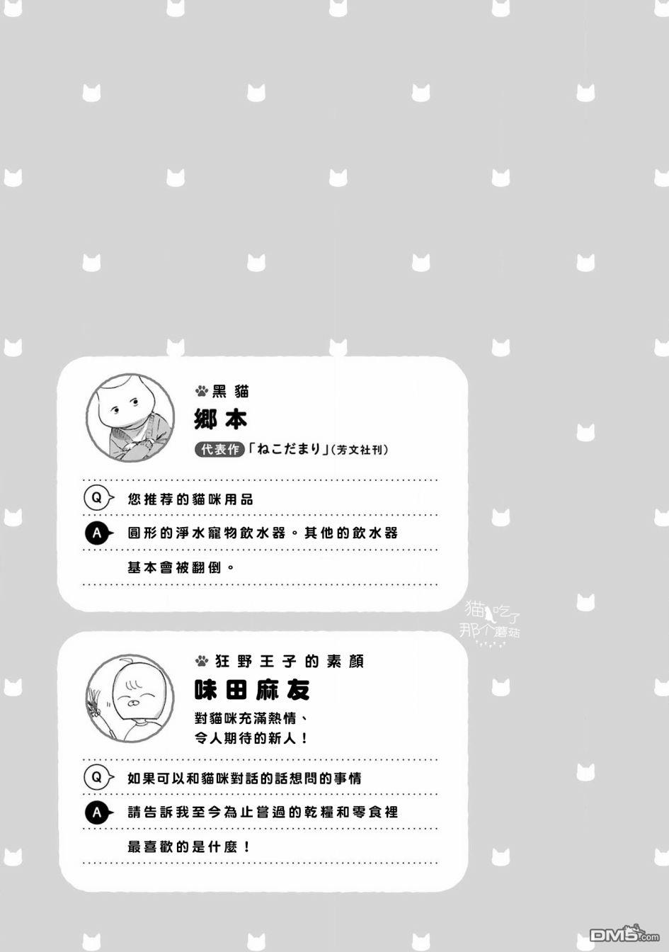 全世猫第4话