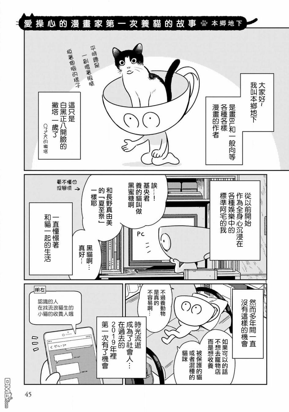 全世猫第5话