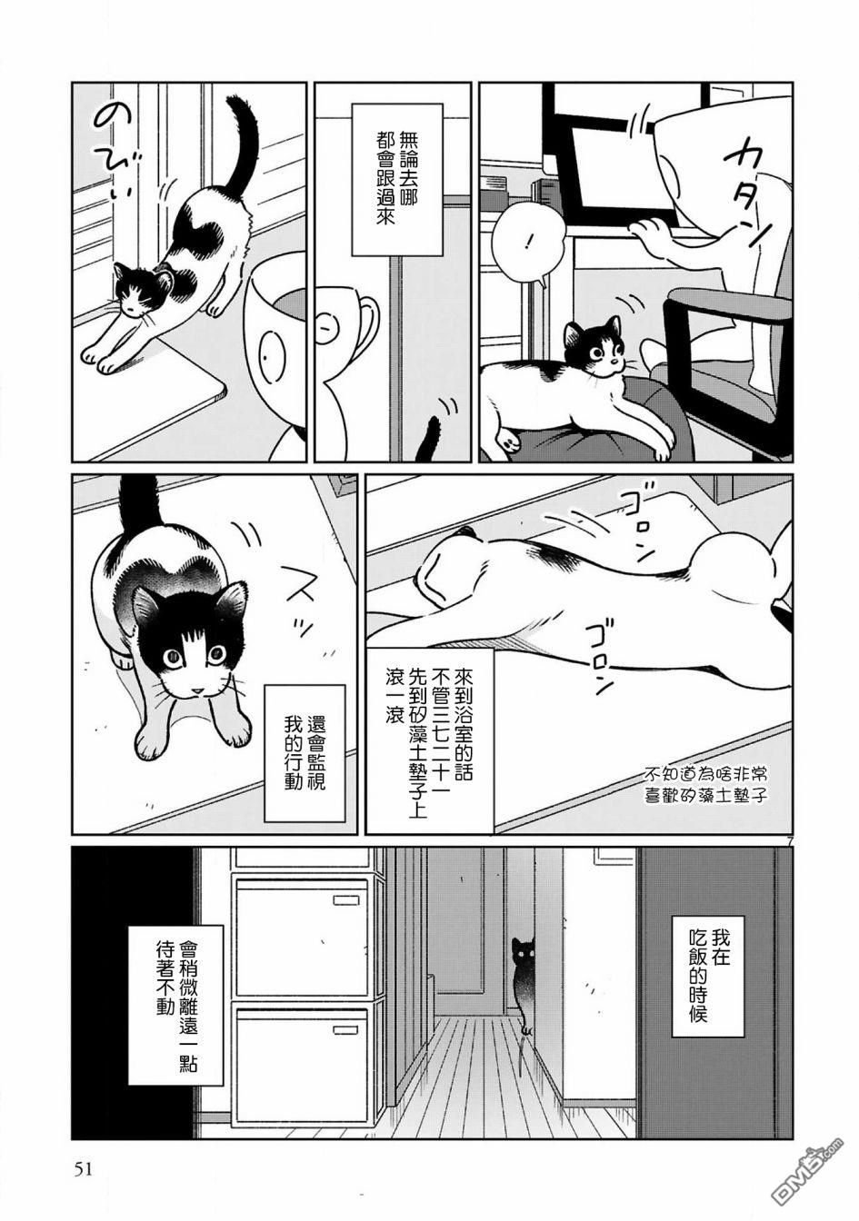 全世猫第5话