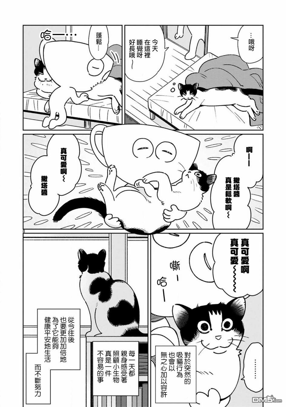 全世猫第5话